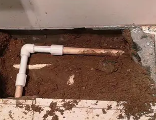 泊头测漏水哪家好