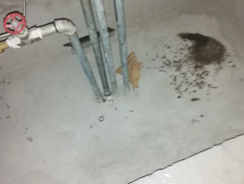 泊头卫生间测漏水价格明细